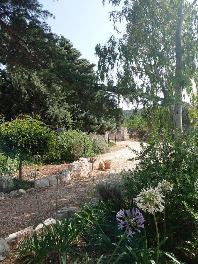 Dimora Dalia - Puglia Mia Apartments Монополи Екстериор снимка